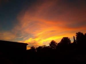 Cirrus Wolken im goldgelben Abendlicht