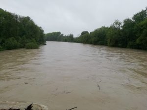 Hochwasser an der Isar in Freising im Mai 2019