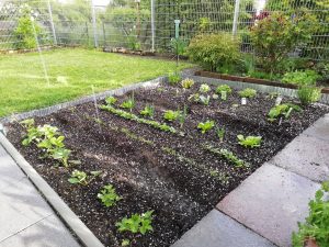 Hagel während eines Gewitters im Mai