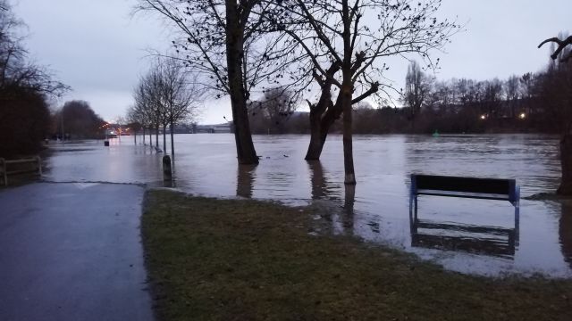 Hochwasser am Main am 07.01.2022 Hochwasser am Main am 07.01.2022